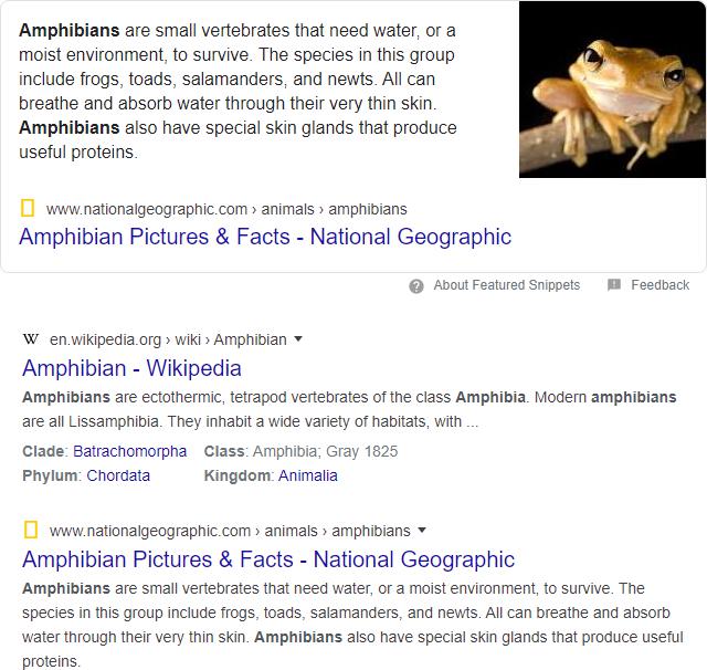 A screenshot of Google search results for 'amphibians'