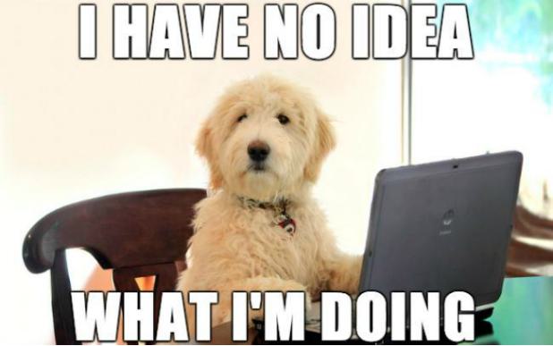 An image of a dog on a computer in a meme captioned "I have no idea what I'm doing"