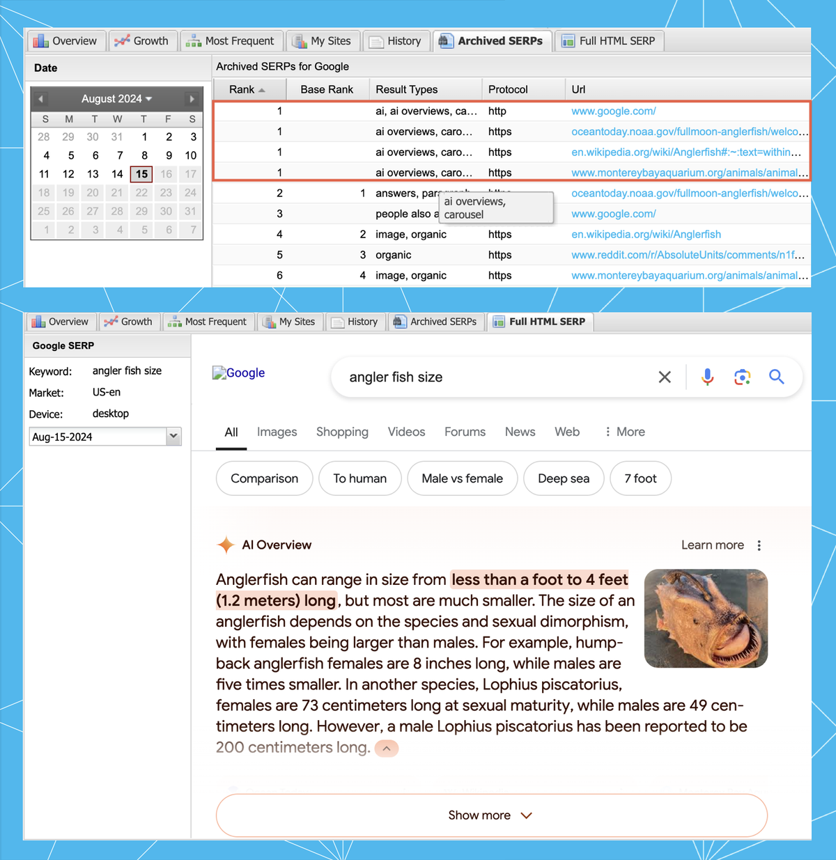 A screenshot of the Archived SERP tab and Full HTML SERP tab in STAT