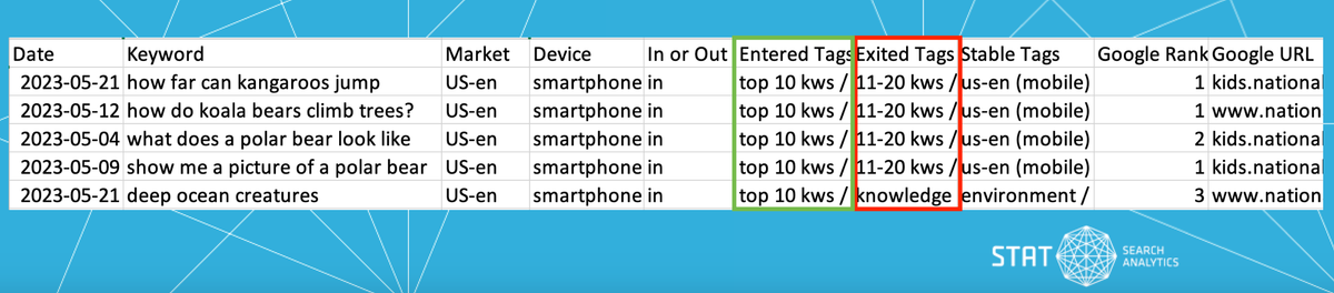 A screenshot of a filtered Dynamic Tag In/Out report from STAT.