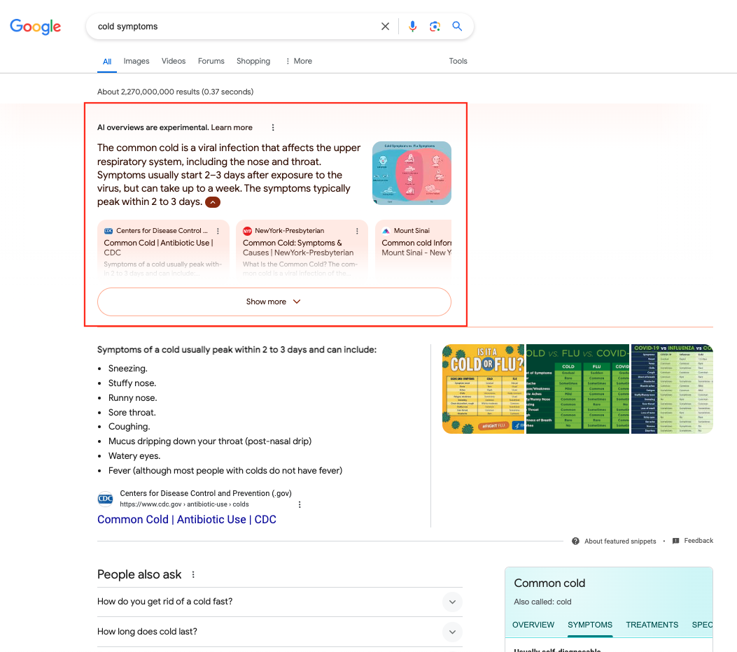 A screenshot showing an SGE result on the SERP.